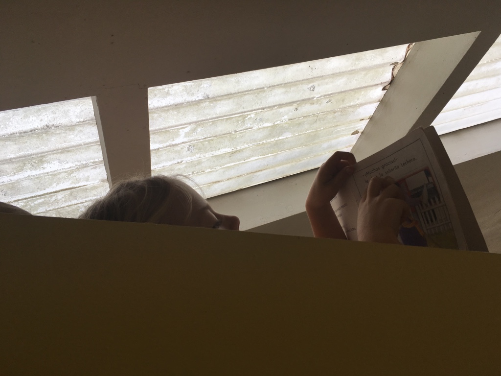 thumb_IMG_8162_1024