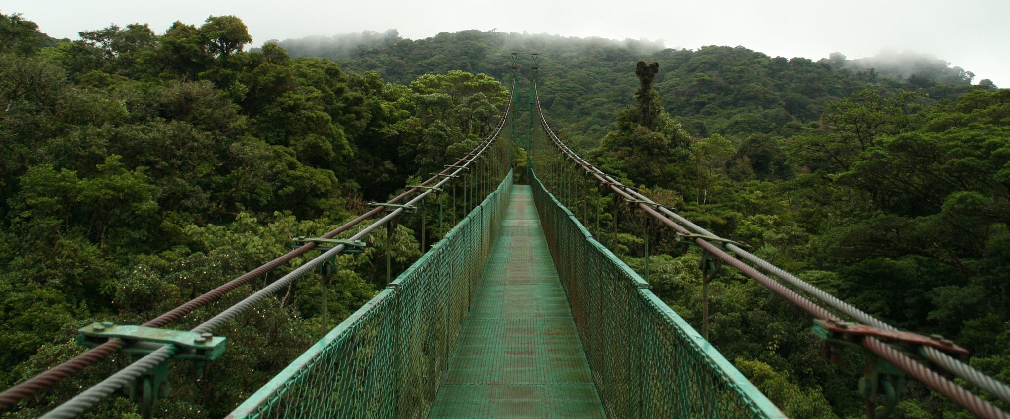 Monteverde Life
